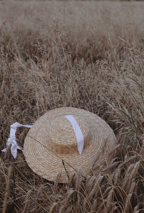 cappello di paglia su un campo di orzo