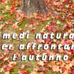 rimedi naturali per affrontare l'autunno